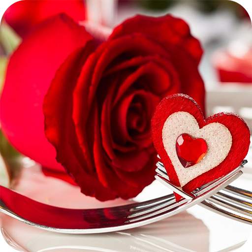 Valentine's Day Wallpapers HD 1.01