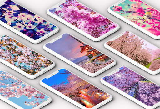 Cherry Blossom Wallpaper screenshot 1