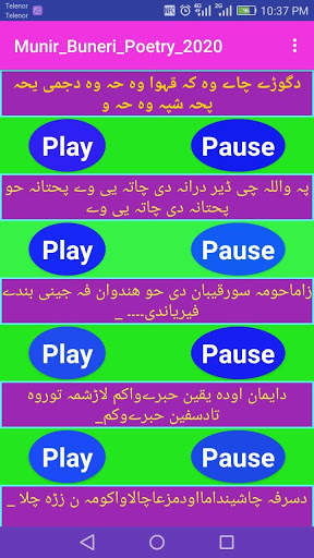 Munir_Buneri_Poetry_2020 screenshot 3