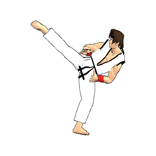 Final Karate (free) 2.3