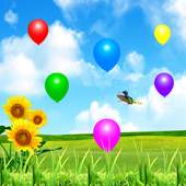 Magic Birds 1.0