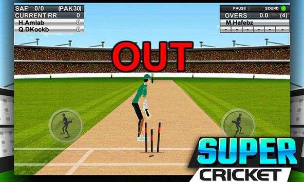 Super Cricket Championship screenshot 4