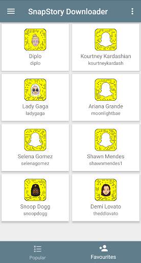 SnapStory Downloader screenshot 2