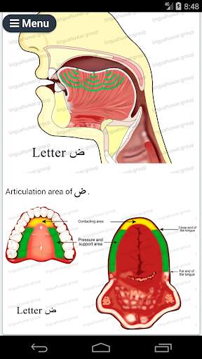 ARABIC ALPHABET screenshot 4