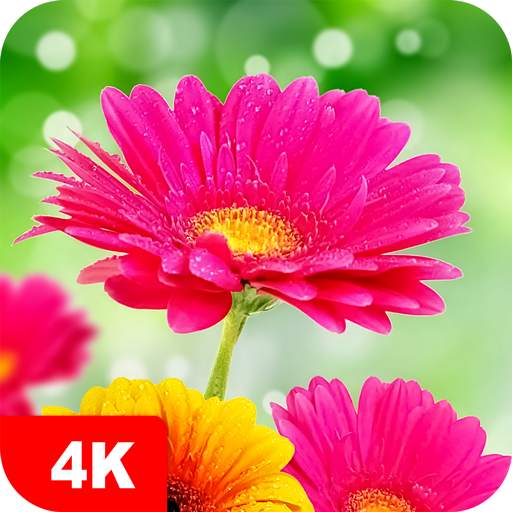 Flower Wallpapers 4K 5.7.7