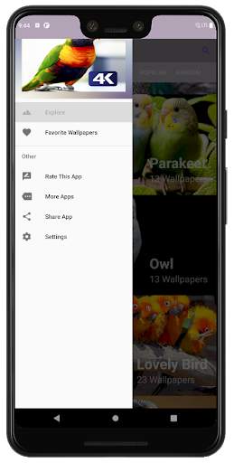 PhoneStack - Lovely Bird Wallpaper (QHD, 4K & UHD) screenshot 8
