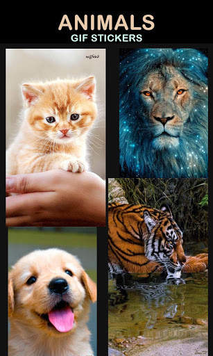 Animal Gif Stickers screenshot 8