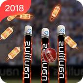 Real Cricket™ 2K18 info 1.0