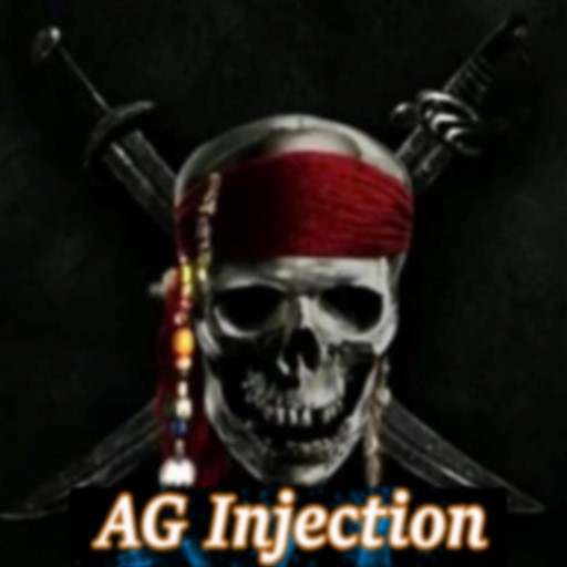 Ag injector hint - free skin ml 2021 1.2