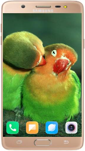 Bird Wallpaper Best HD स्क्रीनशॉट 7