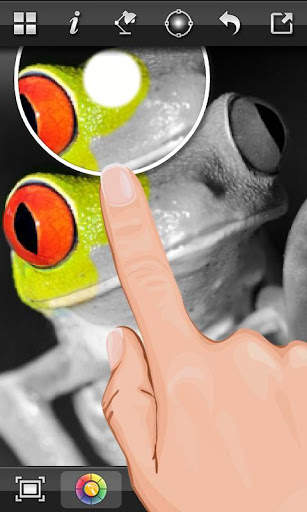 Color Splash FX screenshot 3