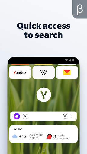 Yandex Browser (beta) screenshot 3