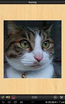 Best Cats game screenshot 3