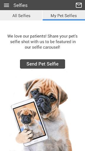 Baseline Animal Hospital screenshot 4