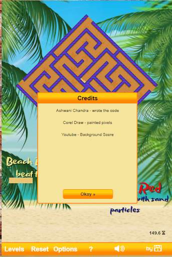 Beach Challenge Game screenshot 3