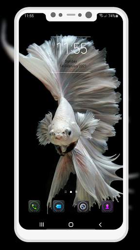 Betta Fish Wallpaper screenshot 14