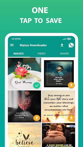 Story Downloader for WA and WB screenshot 1