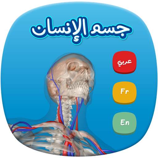 Human Anatomy AR 1.0