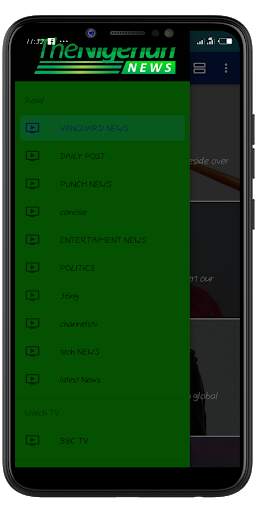NIGERIA BREAKING NEWS APP: NIGERIA NEWSPAPERS screenshot 1