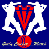 Gully Cricket icon
