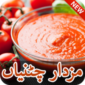 Sauce Recipes/Pakistani Chatnia icon