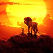 Wallpapers HD For the Lion King 2019 logo