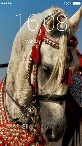 Arabian Lock Screen screenshot 7