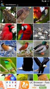 Bird Wallpapers screenshot 1