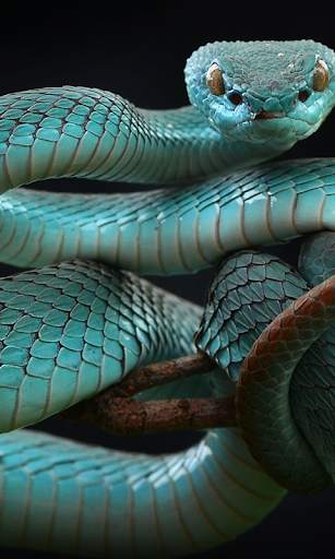 Snake Live Wallpaper screenshot 2