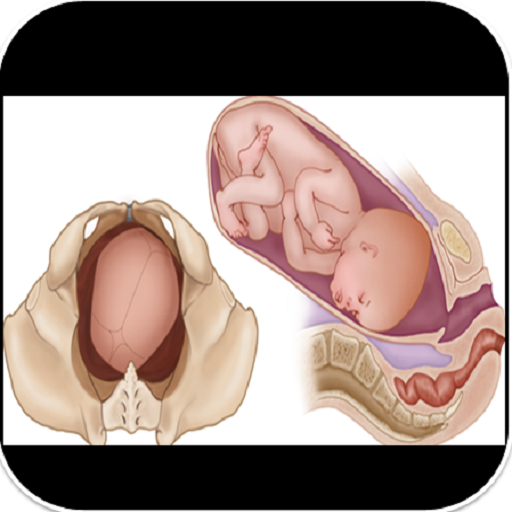 Normal Labour And Complications icon