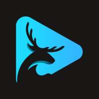 Stag VPN logo