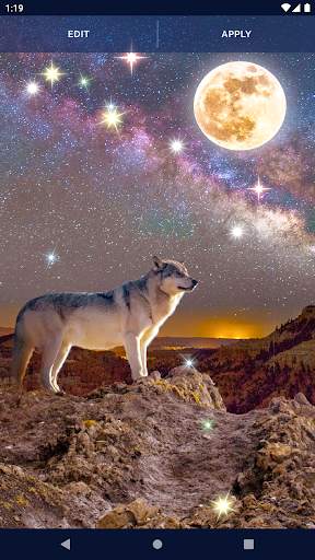 Night Wolf Live Wallpaper screenshot 6
