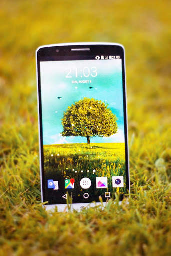 Awesome-Land 2 live wallpaper : Plant a Tree !! screenshot 1