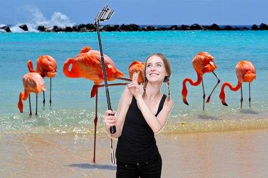 Flamingo Photo Editor screenshot 5
