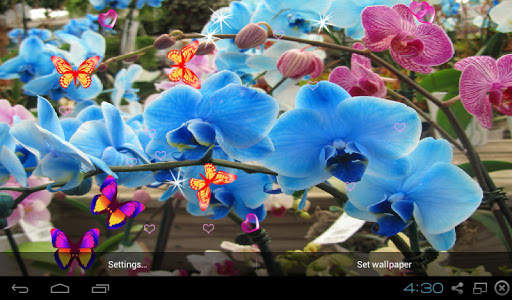 Orchid Live Wallpaper - Screen Lock, Sensor, Auto screenshot 1