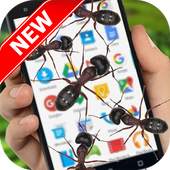 Ants on Screen (Funny Prank) 3.0