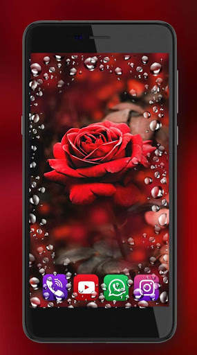 Red Roses Dew Live Wallpaper screenshot 4