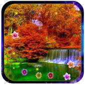 Autumn Live Wallpaper 1.0