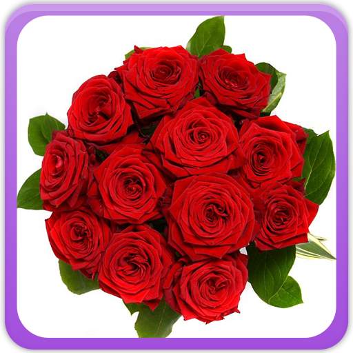 Roses Gallery 3.0