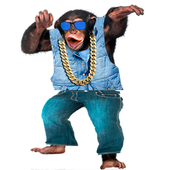Talking Monkey Deluxe icon