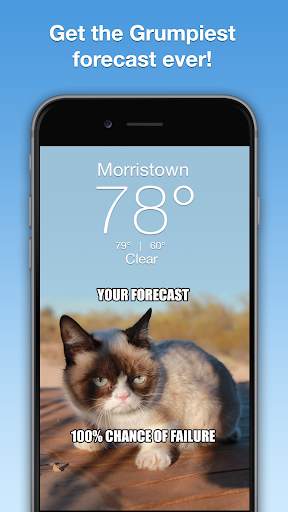 Grumpy Cat Weather screenshot 1