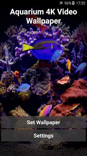 Aquarium 4K Video Wallpaper screenshot 1