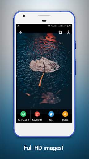 Rain Images: Raindrop Wallpaper, Rain Wallpaper HD screenshot 4
