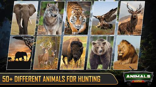 Hunting Games 3d: Deer Hunter screenshot 1