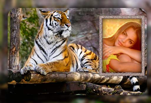 Tiger Photo Frames screenshot 6