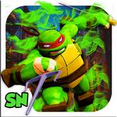 Shadow Turtles Ninja 1.0
