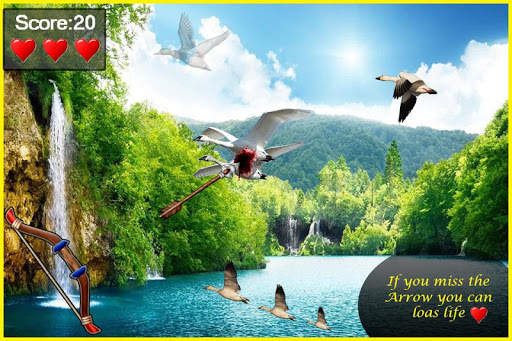 Bird Hunting screenshot 2