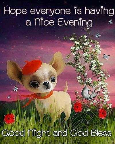 Good Night Wishes screenshot 6