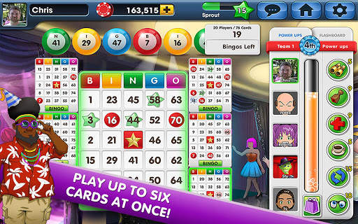 Wild Party Bingo FREE social screenshot 16