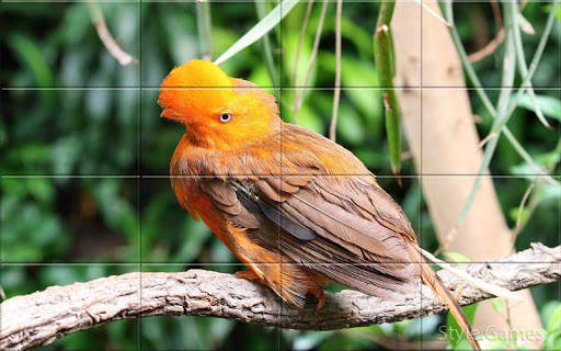 Sparrows Puzzle स्क्रीनशॉट 8